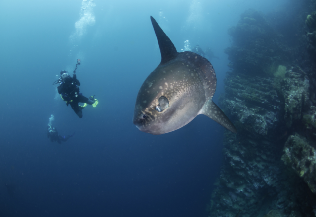 EXPERIENCIAS & AVENTURAS<br>EN LAS ISLAS SARO TOURS GALÁPAGOS SATGAL S.A.